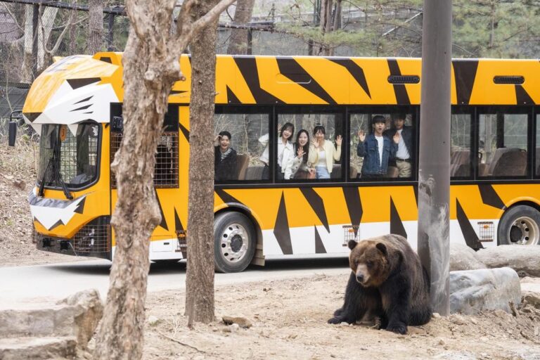 Everland တွင် နွေဦးရာသီအတွက် Safari World အသစ်ပြင်ဆင်ဖွင့်လှစ်၊ ဖျော်ဖြေပွဲနှင့် မီးရှူးမီးပန်းပြပွဲအသစ်များလည်း ထည့်သွင်း